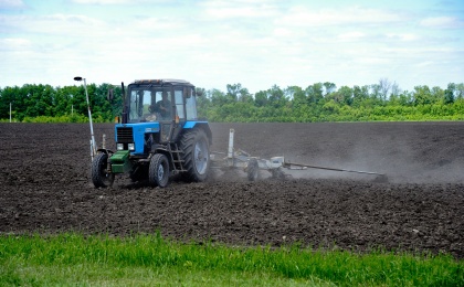 В России может появиться программа «сельскохозяйственный гектар»